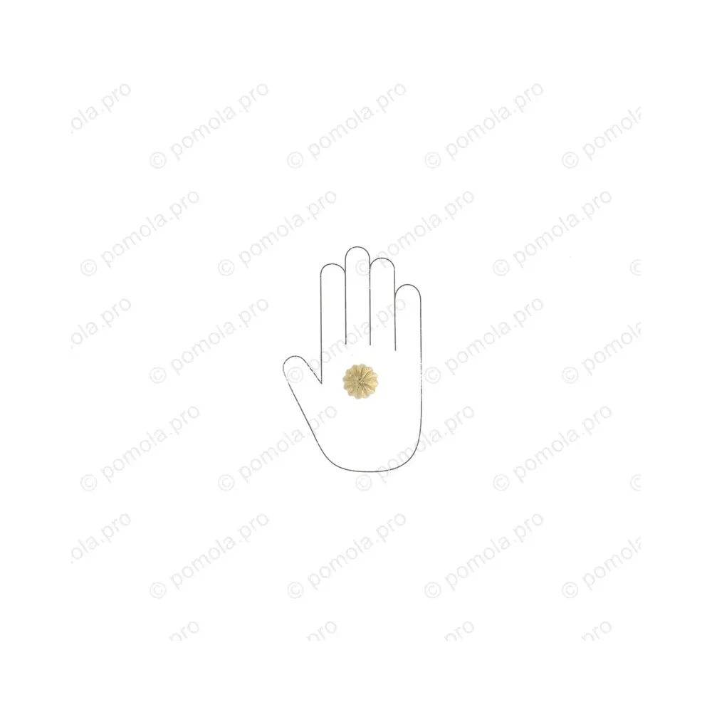 HZP.680-030-KRGP ΠΟΜΟΛΑΚΙΑ ΜΕ ΚΡΥΣΤΑΛΟ ΕΠΙΧΡΥΣΑ