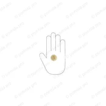 HZP.680-030-KRGP ΠΟΜΟΛΑΚΙΑ ΜΕ ΚΡΥΣΤΑΛΟ ΕΠΙΧΡΥΣΑ