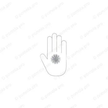 HZP.680-045-KR02 ΠΟΜΟΛΑΚΙΑ ΜΕ ΚΡΥΣΤΑΛΟ ΧΡΩΜΙΟ ΓΥΑΛΙΣΤΕΡΟ