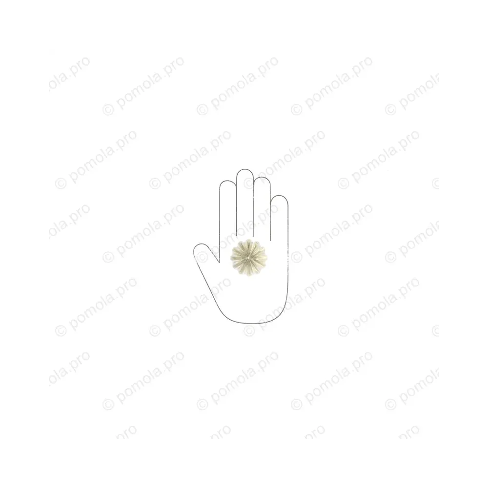 HZP.680-045-KRGP ΠΟΜΟΛΑΚΙΑ ΜΕ ΚΡΥΣΤΑΛΟ ΕΠΙΧΡΥΣΑ