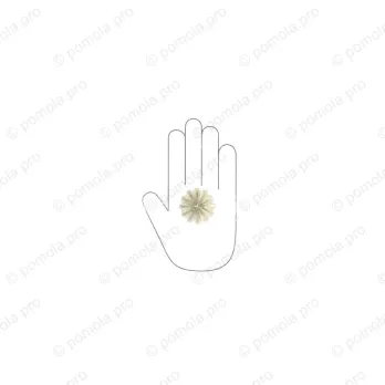 HZP.680-045-KRGP ΠΟΜΟΛΑΚΙΑ ΜΕ ΚΡΥΣΤΑΛΟ ΕΠΙΧΡΥΣΑ